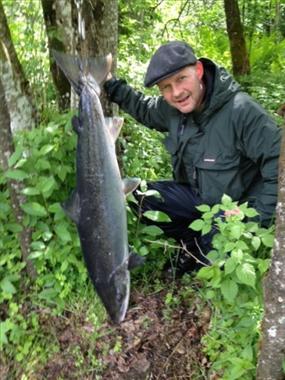 Storlaks i Sveahølen